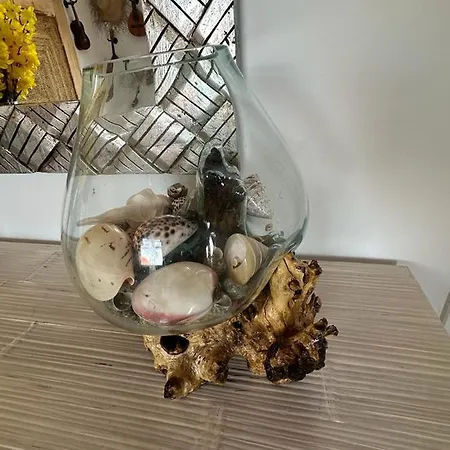 Ubytování v soukromí Tenerife Sur De Lujo