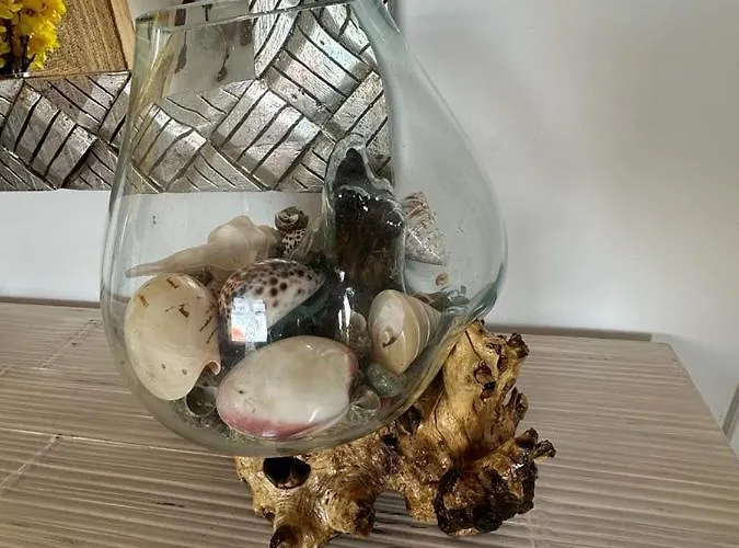 Homestay szállás Tenerife Sur De Lujo